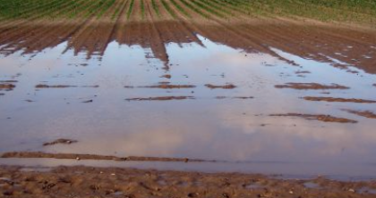 Eccezionali eventi meteorologici ott.-nov. 2023 – Ordinanza n. 141 del 14 ottobre 2025 Eccezionali eventi meteorologici ott.-nov. 2023 – Ordinanza n. 141 del 14 ottobre 2025