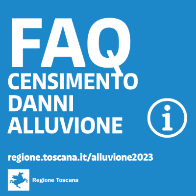 Faq Censimento Danni