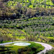 Paesaggio di Fognano