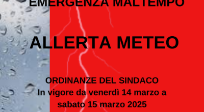 allerta meteo