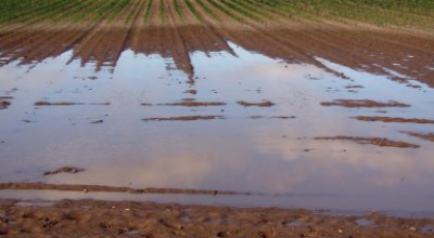 Eccezionali eventi meteorologici ottobre-novembre 2023 – ulteriore intervento Eccezionali eventi meteorologici ottobre-novembre 2023 – ulteriore intervento
