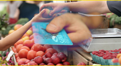 CARTA DEDICATA A TE 2025 CARTA DEDICATA A TE 2025