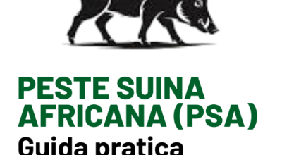 Peste Suina Africana