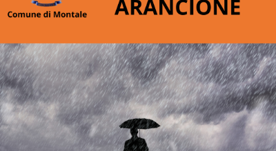 allertaarancione