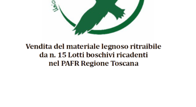 Asta pubblica