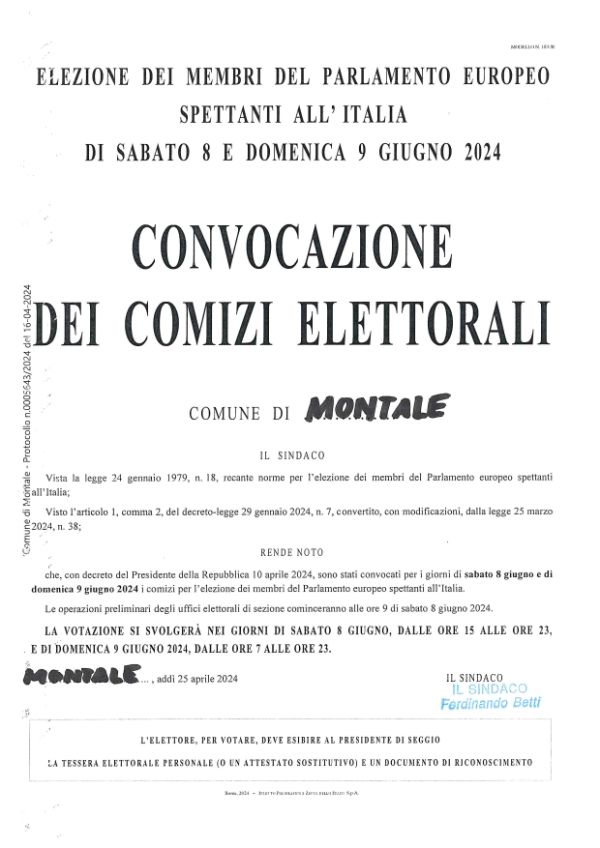 Comizi elettorali Europee