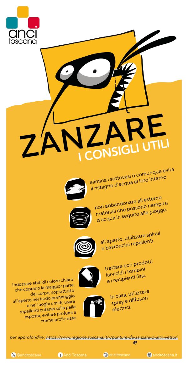 Zanzare
