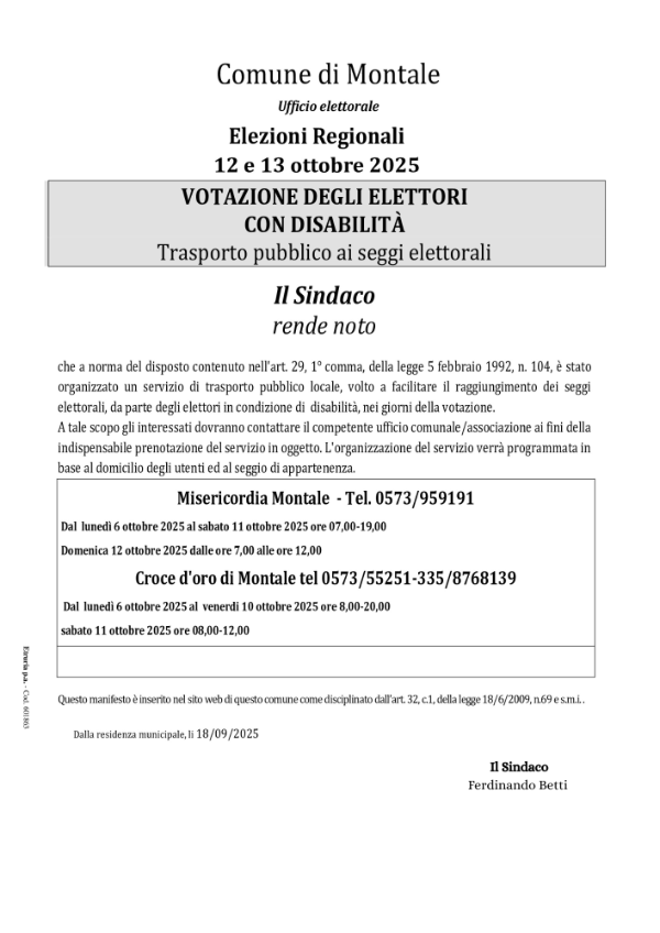 trasporto per voto disabili